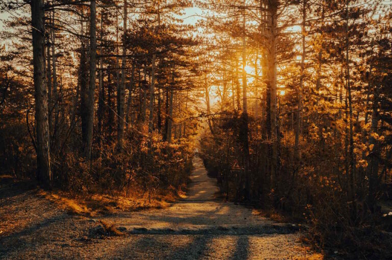 Le chemin est déjà le but