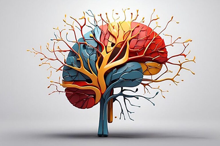 Les effets de la méditation (partie II)